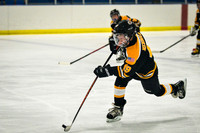 Jaguar Hockey