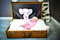 Piekarski Family Newborns