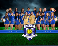Team 2011