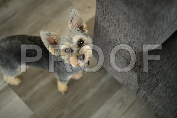 MBP_0434