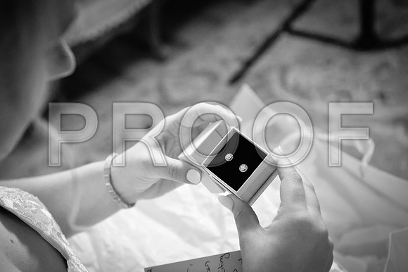 MBP_0548